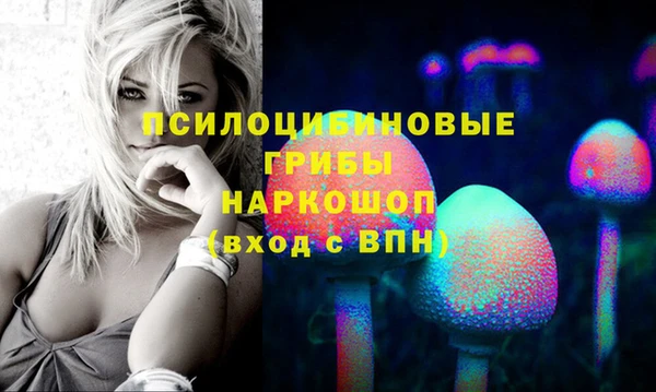 гидра Арсеньев