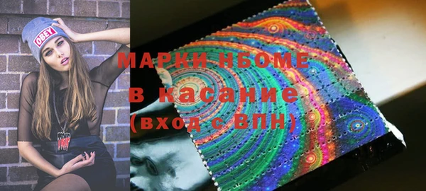 гидра Арсеньев